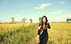 爱子情深全集高清